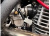 ROMANIAC TURBO ‘TIFFANY’